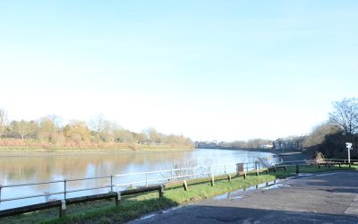 Using Artificial Intelligence in Mediation: A Guide to A1 for Efficient Conflict Resolution